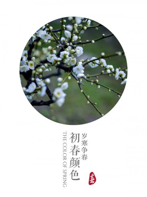 欲乳乱妇之梅开二春岳-第2张图片