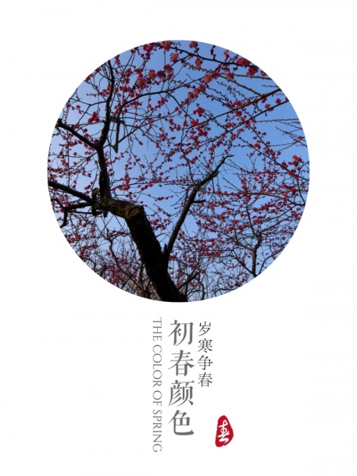 欲乳乱妇之梅开二春岳