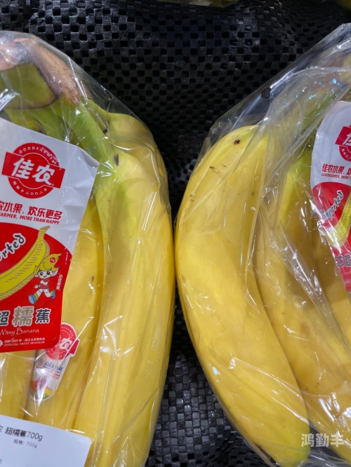 香蕉频蕉app官网下载低版本香蕉频蕉app下载安卓，便捷的娱乐体验-第1张图片