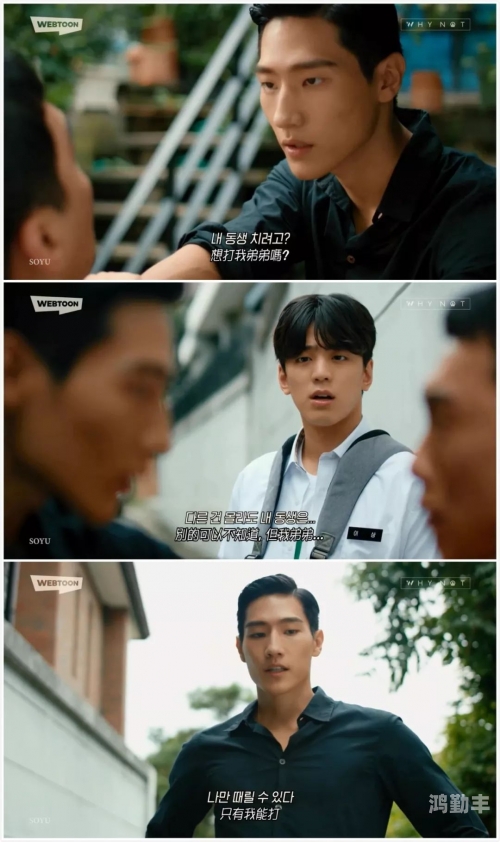 国产高清视频在线观看97，探索与体验