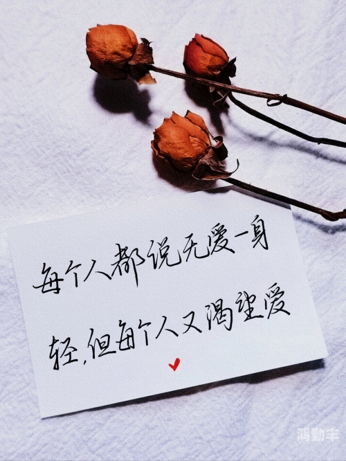 人人爱人人爱，一种普遍的情感与价值