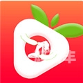 樱桃秋葵香草与小蝌蚪的奇妙之旅——榴莲茄子的秘密