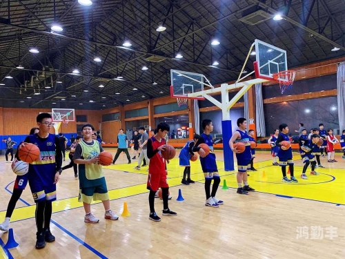 免费运动与扑克视频，健康与娱乐的双重享受