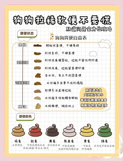 狗狗误入肠道，如何处理及拉出时间探讨-第2张图片