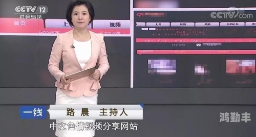 91视频最新网址91视频最新网址——探索网络视频的无限可能-第3张图片