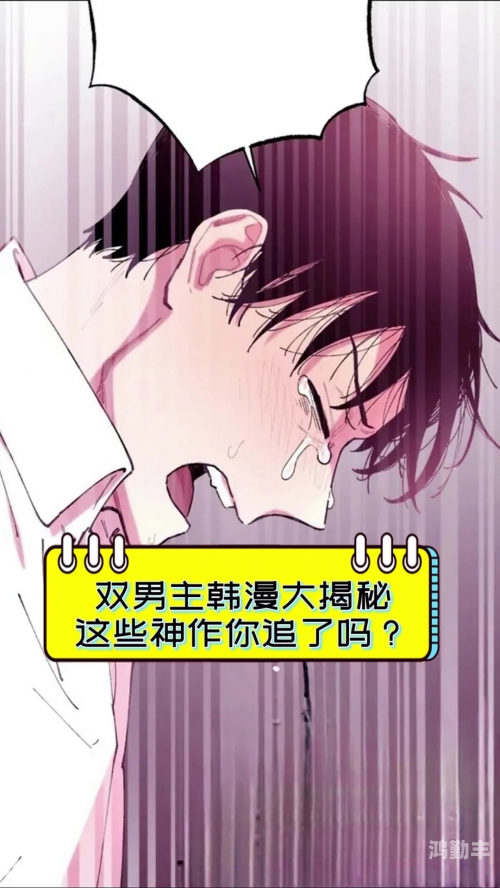 双男主有车车的视频w双男主有车车的视频的探索与解析