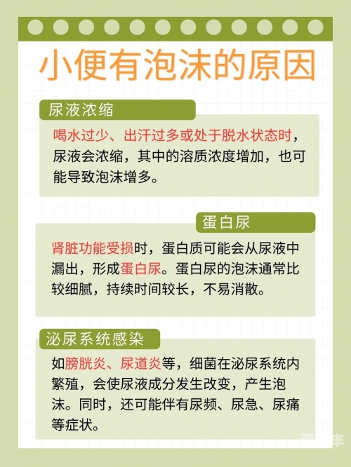 亚洲女性厕所小便习惯的探索与解析