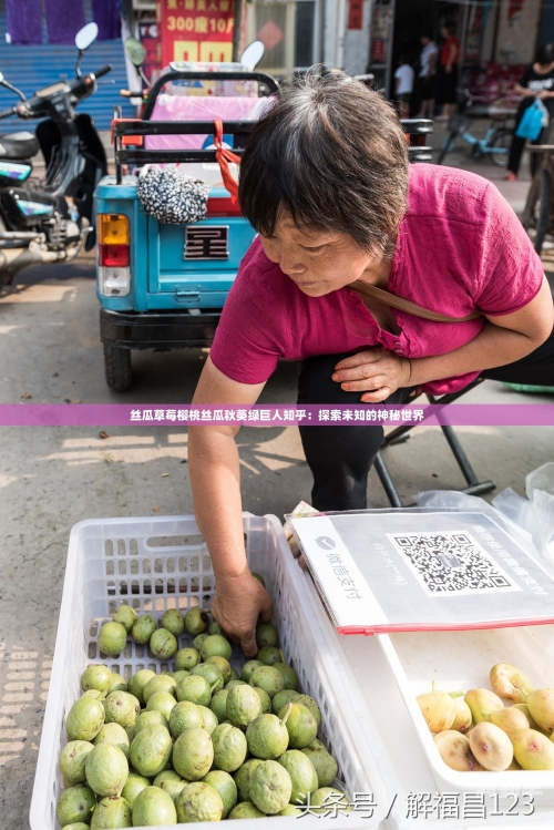 草莓APP，无限观看的乐趣与丝瓜安卓免费下载体验