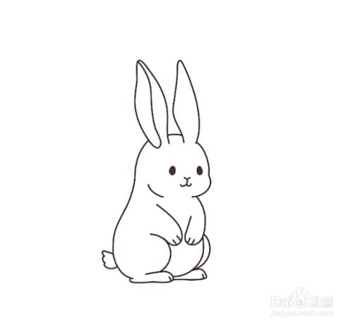 男朋友吃我的小兔子图片表情包关于男朋友与我的小兔子图片的深度思考-第2张图片
