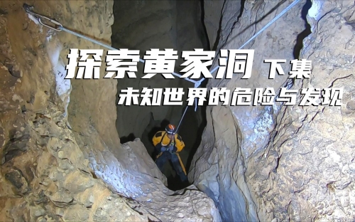 探索黄色免费软件的背后世界