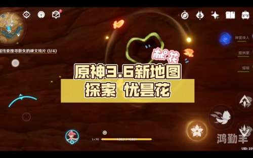 原神之忧昙花，绽放的传说与追寻-第1张图片