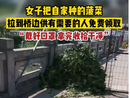 面对意外情况——没带罩子让他C了一节课的应对策略