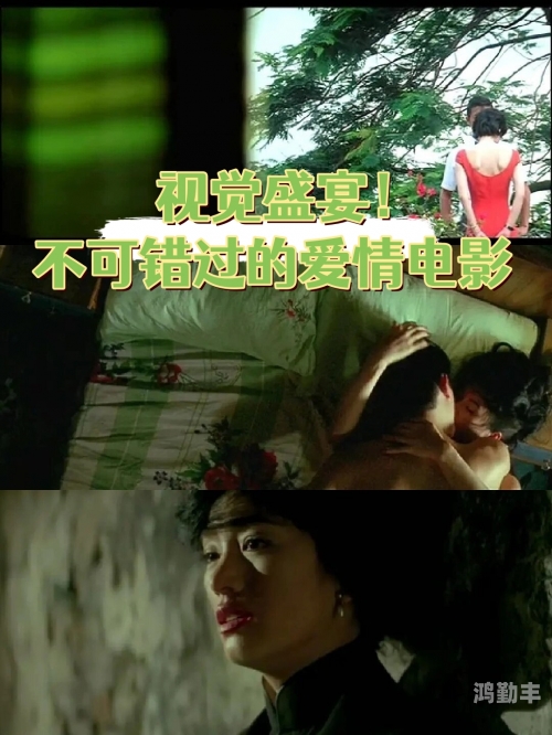 DVD、相片与电影故事，一段珍贵的回忆之旅-第1张图片