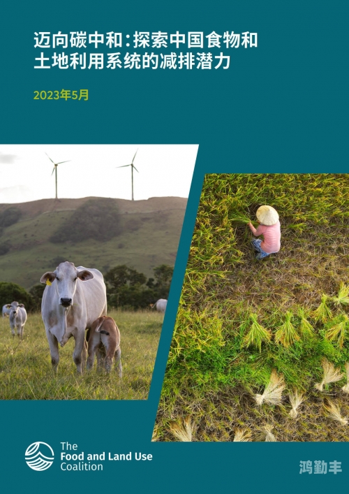 每日BT下载每日BT，探索与利用的数字世界之旅-第1张图片