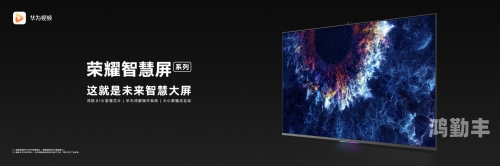 极视网，引领数字时代的视觉革命-第1张图片