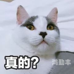 色成人论坛，网络文化中的一角-第2张图片