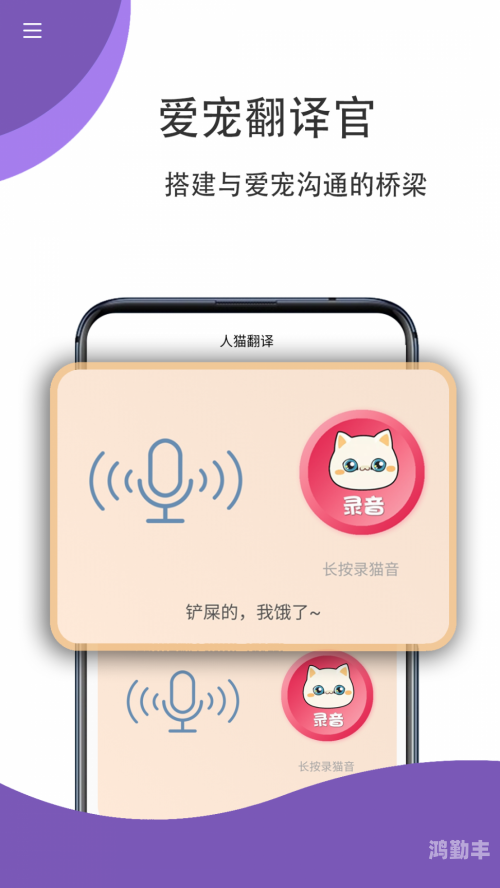 随身翻译官下载随身翻译，全球沟通的桥梁-第2张图片