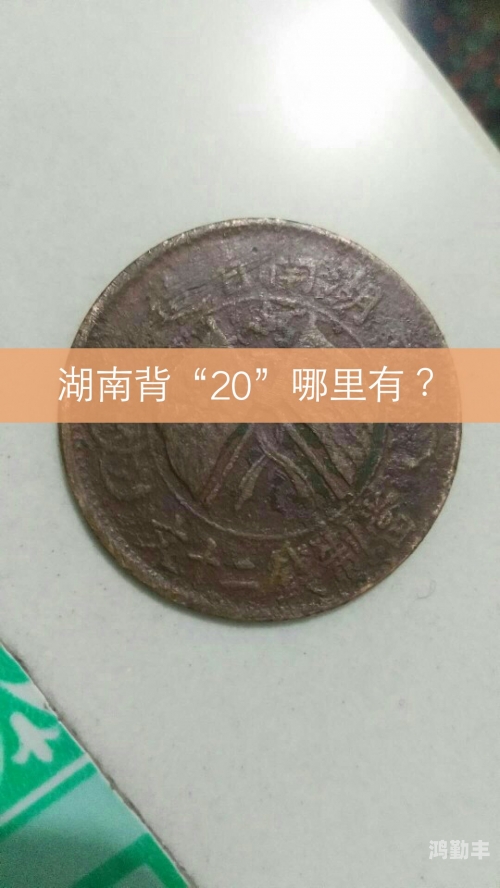 鉴定师app免费网站在线观看鉴定师app免费网站——古董收藏爱好者的新选择