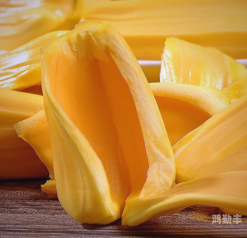 菠萝菠萝蜜免费高清在线视频菠萝菠萝蜜免费高清在线视频的探索与体验-第1张图片