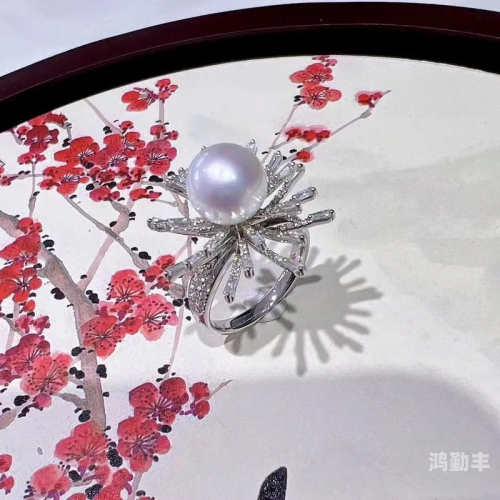 莎莎大头闪耀的戒指之约-第3张图片