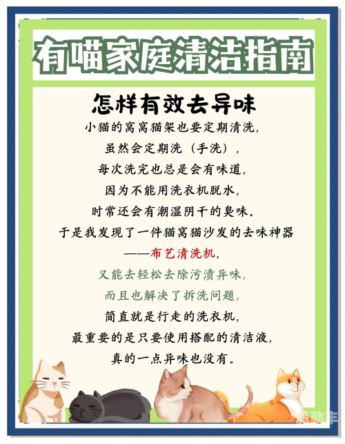 猫咪最新破解版下载全攻略-第2张图片