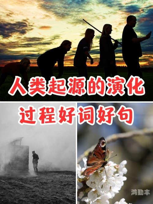 探索自然之韵，好涨水快流出的奥秘与长河之长