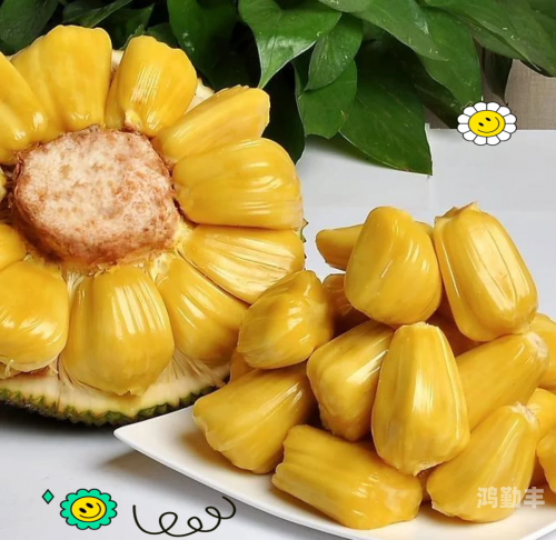 菠萝蜜视频免费播放高清下载菠萝蜜视频，免费播放高清的精彩世界