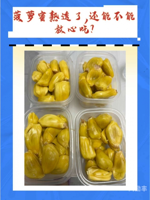 菠萝蜜视频免费播放高清下载菠萝蜜视频，免费播放高清的精彩世界-第3张图片