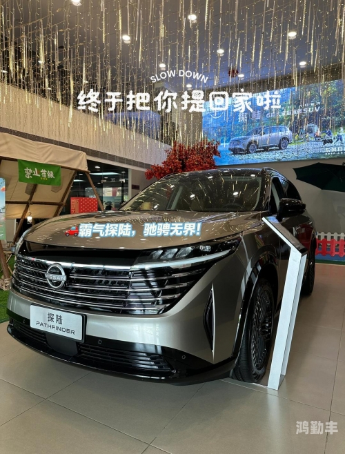 探索亚洲风情与高清SUV的完美结合-第2张图片