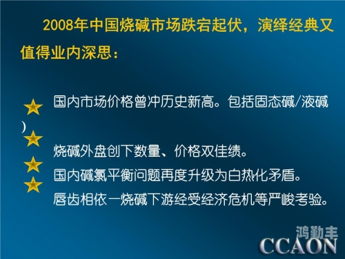 2020年国产精品网站的发展与展望-第3张图片