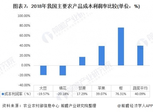 2020年国产精品网站的发展与展望-第2张图片