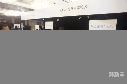 日韩欧美1区日韩欧美1区，文化交流与娱乐的交汇点-第1张图片