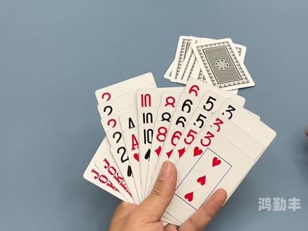 打牌生猴子的视频大全原声版打扑生猴子的乐趣与智慧-第2张图片