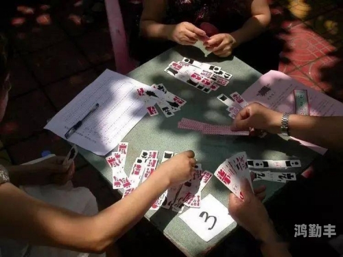 打牌生猴子的视频大全原声版打扑生猴子的乐趣与智慧