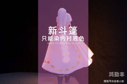 光遇黑金斗篷，探索与冒险的神秘之衣-第2张图片