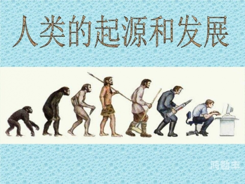 与动物性万乱理论片动物性与人类文明——探索非理性内容背后的思考-第3张图片