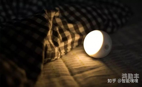 夜插插日本夜插插的神秘与魅力