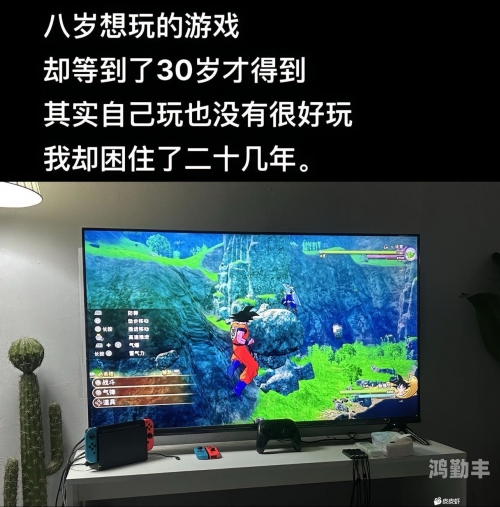 老婆不在家男人玩的游戏老婆不在家，男人的游戏时光