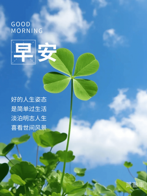 网址你懂我意思正能量不用下载正能量聚集地——无需下载，轻松访问的优质网址-第3张图片