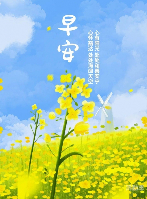 网址你懂我意思正能量不用下载正能量聚集地——无需下载，轻松访问的优质网址