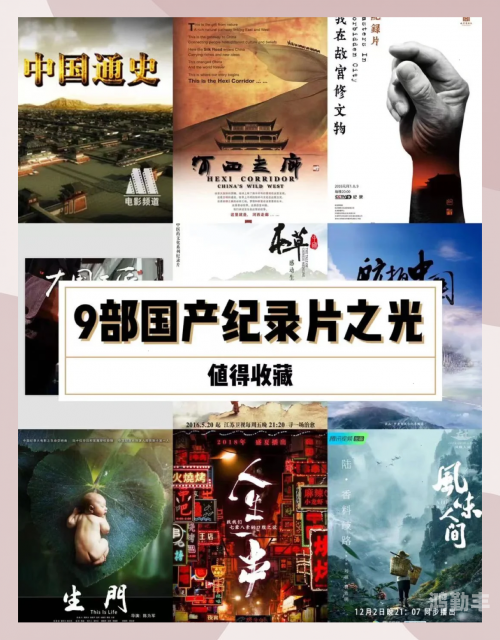 国产一级一片免费播放i国产一级影片免费观看的探索与体验-第2张图片