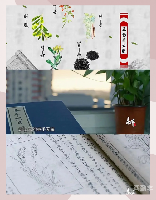 国产一级一片免费播放i国产一级影片免费观看的探索与体验-第3张图片