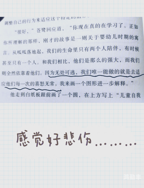 原谅大作战原谅大作战，心灵深处的和解之旅-第2张图片