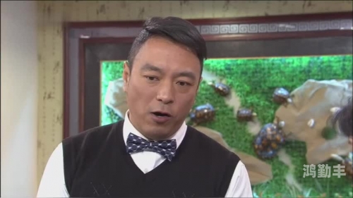 gogogo影视免费播放mv农村GOGOGO影视，免费播放MV的优质平台-第3张图片