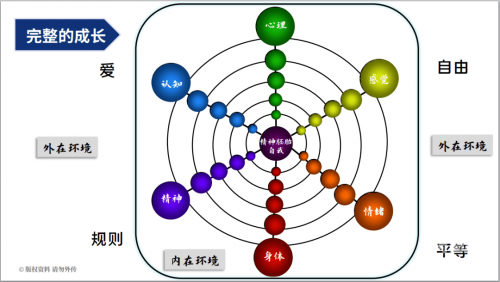 多特软——引领科技潮流的智能软件解决方案