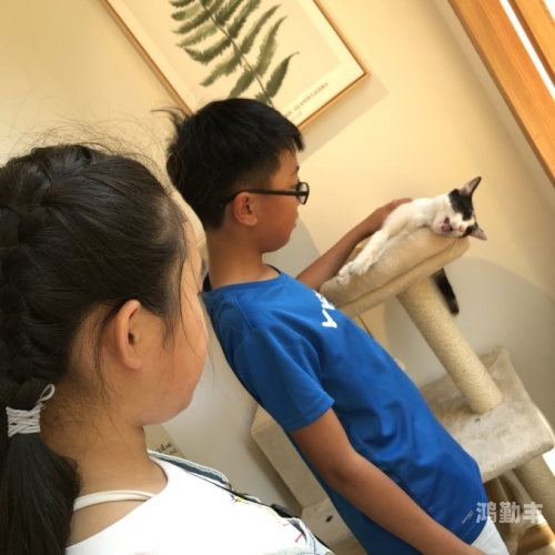 儿子的每周之约