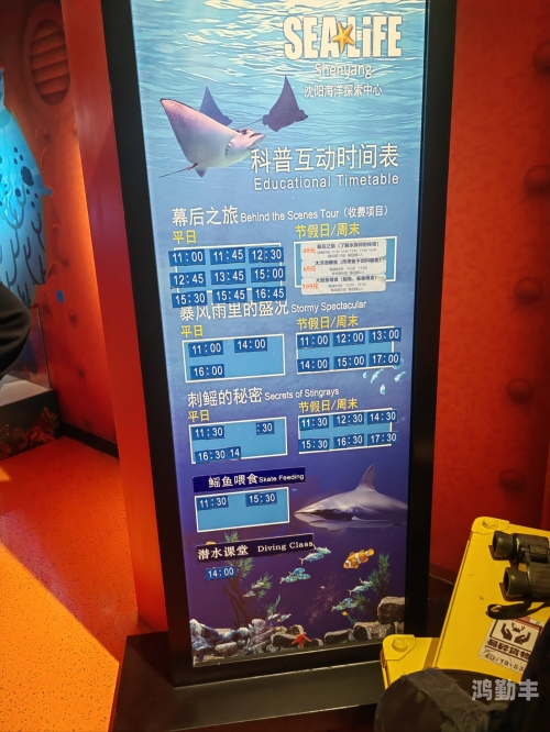 探索神秘的海底世界，海底世界游戏下载指南-第2张图片