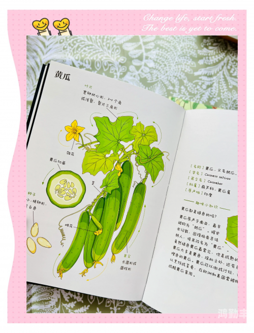 香蕉丝瓜草莓秋葵小猪芭幸福探索水果与蔬菜的奇妙世界——香蕉、丝瓜、草莓、秋葵、小猪芭乐与茄子的探索之旅