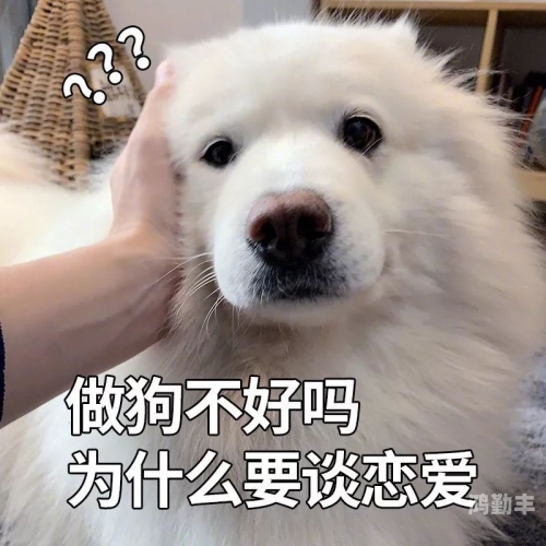 爱你啪福利导航探索爱你啪福利导航的魅力世界-第2张图片