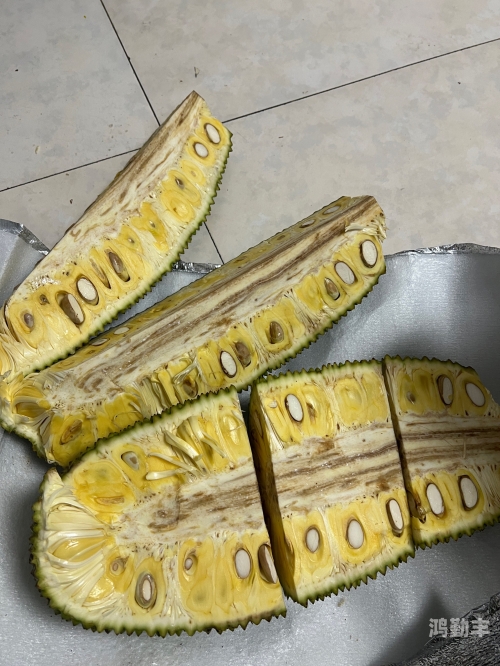 菠萝蜜的魅力与免费观看的乐趣